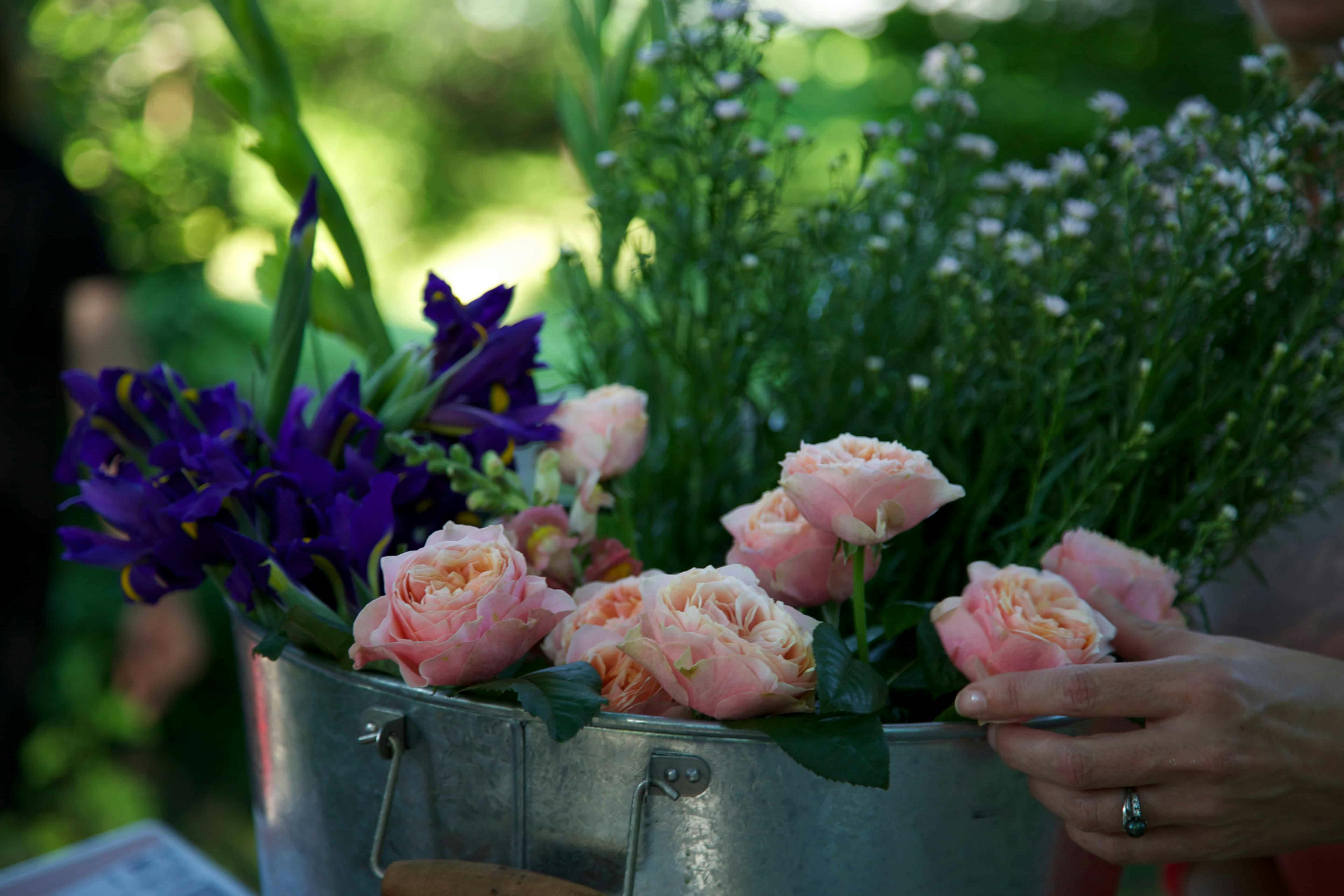 Bucket of flowers