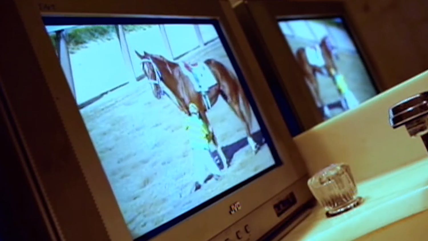 Photo of TV with horse on screen