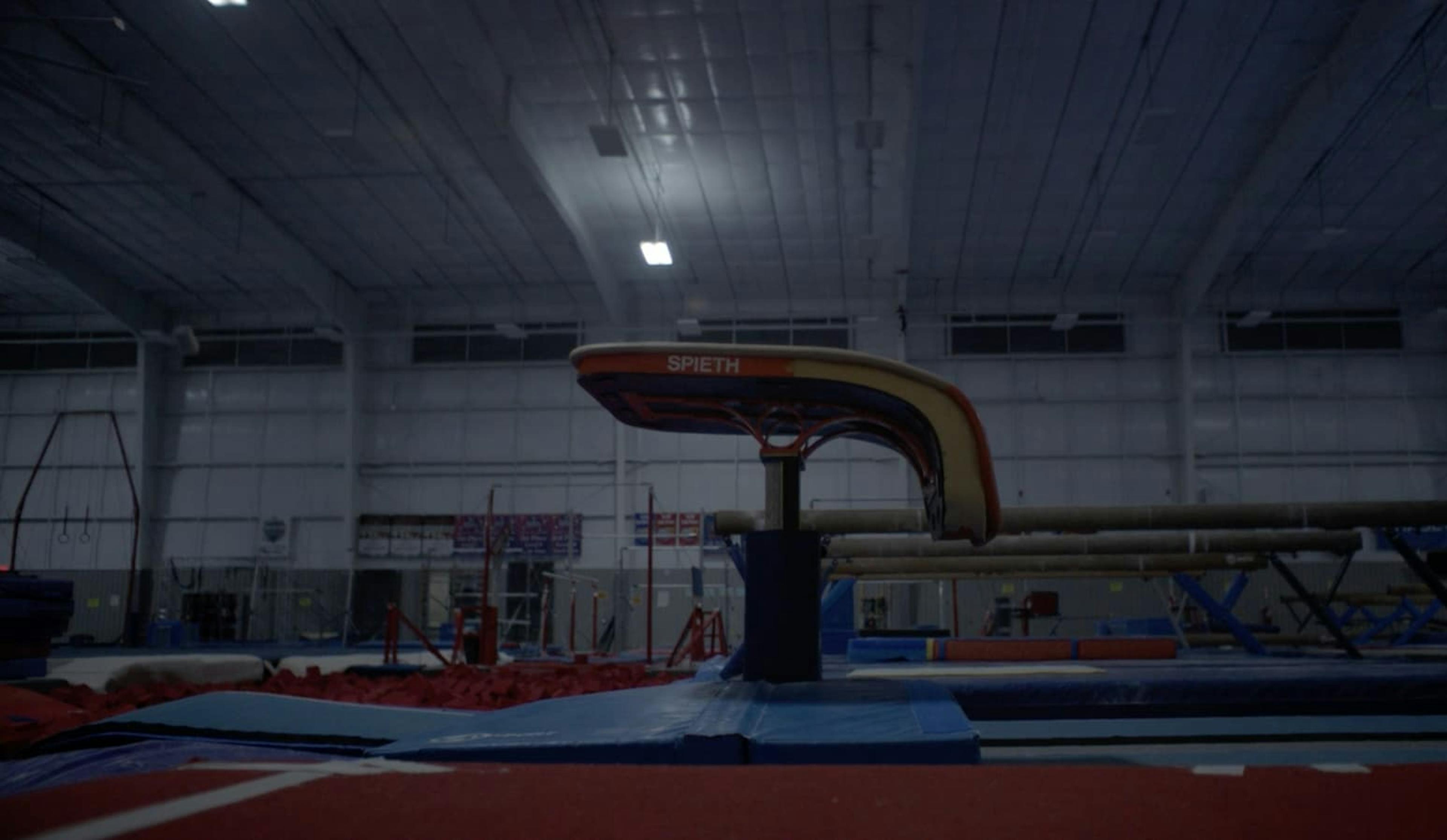 Gym vault