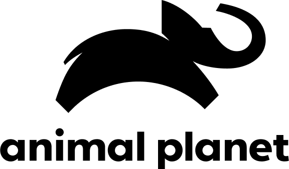 Animal Planet logo