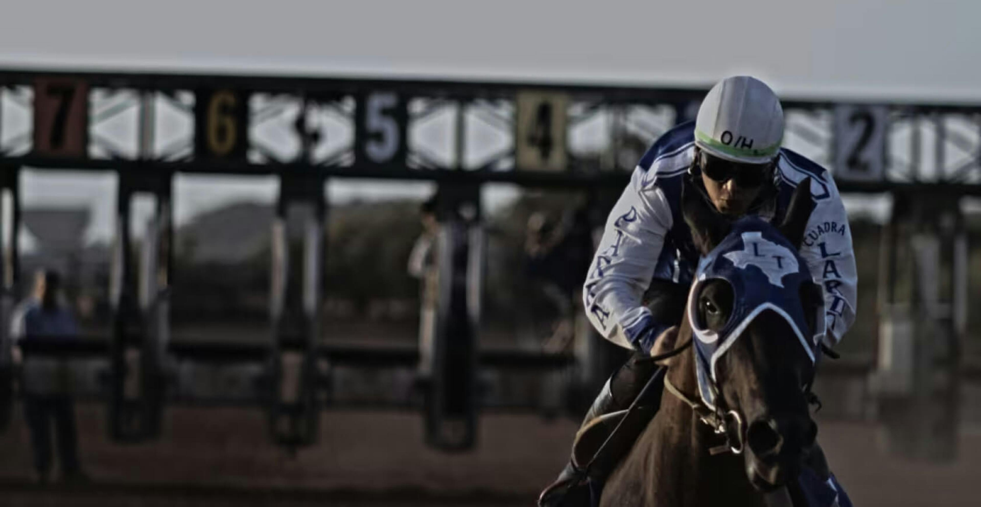 A jockey on a horse