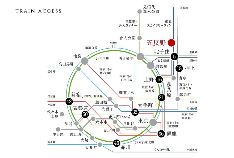 メインステージ五反野Ⅱ_路線図
