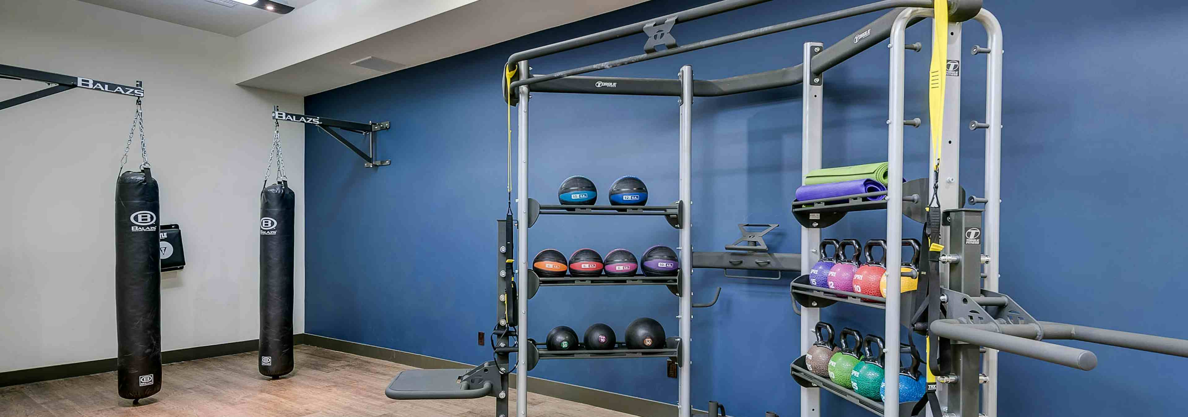 Interior view of the fitness center at AMLI Cherry Creek apartments with heavy punching bags and several medicine balls 