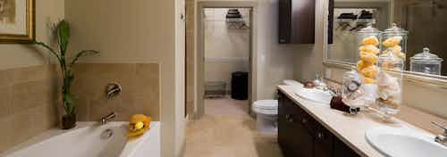 AMLI River Oaks apartment bathroom with double vanity, large mirror, dark wood cabinets, garden tub, and walk-in closet