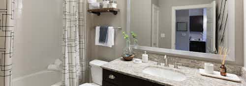 AMLI Frisco Crossing bathroom with and espresso cabinetry with granite countertop and framed mirror above and oval garden tub