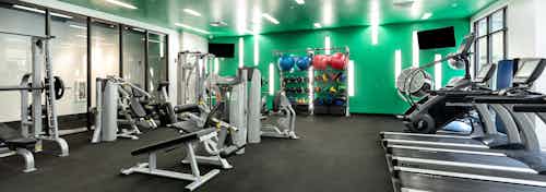 Fitness center with strength and cardio machines and colorful balls on rack against green wall at AMLI Uptown apartments