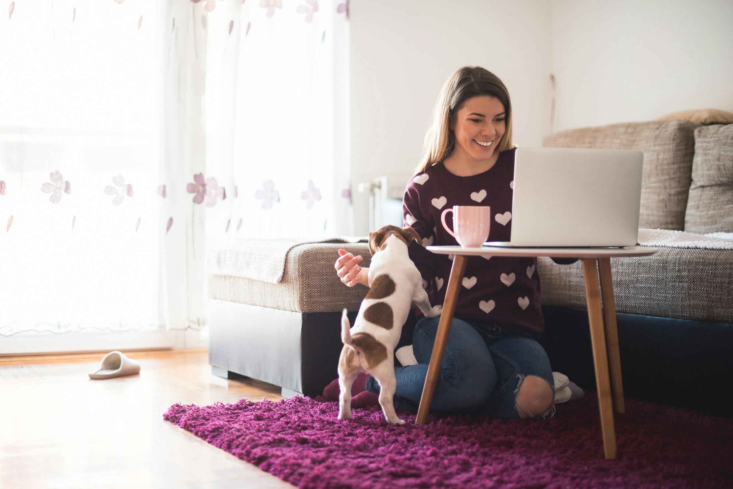 Young woman sitting on purple rug with dog next to a couch and working on her laptop that is sitting on a small table