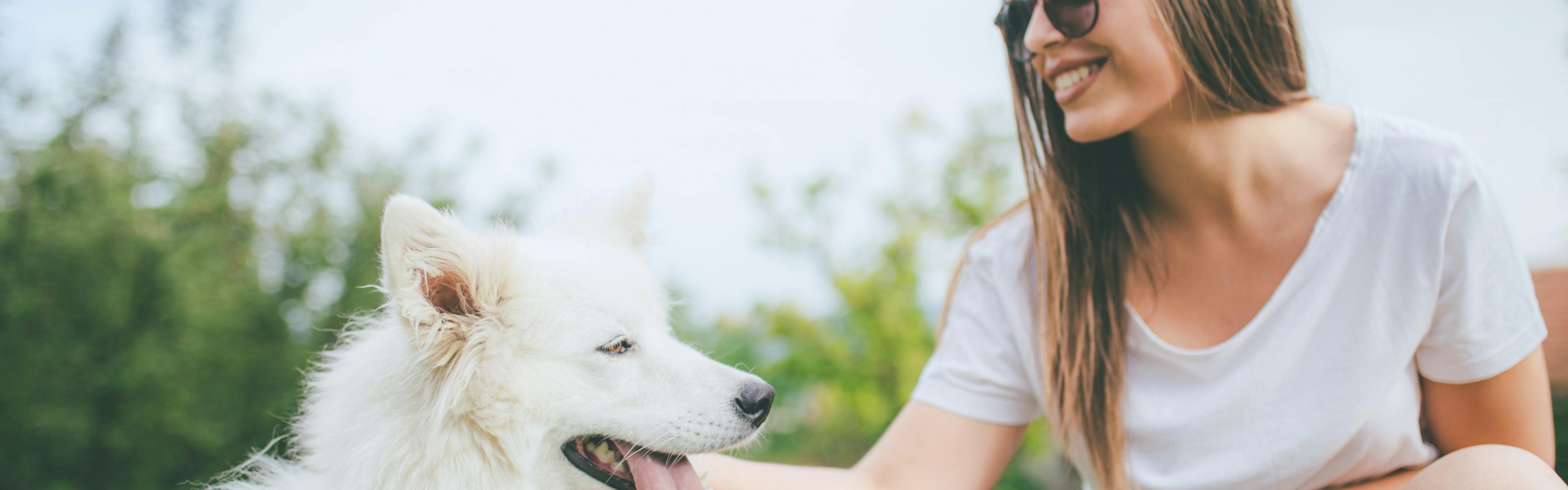 Woman in white tshirt with sunglasses petting a white Huskie dog with tongue hanging out at park