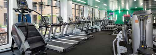 Fitness center at AMLI Uptown apartments with cardio machines and large windows overlooking pool and green wall at back