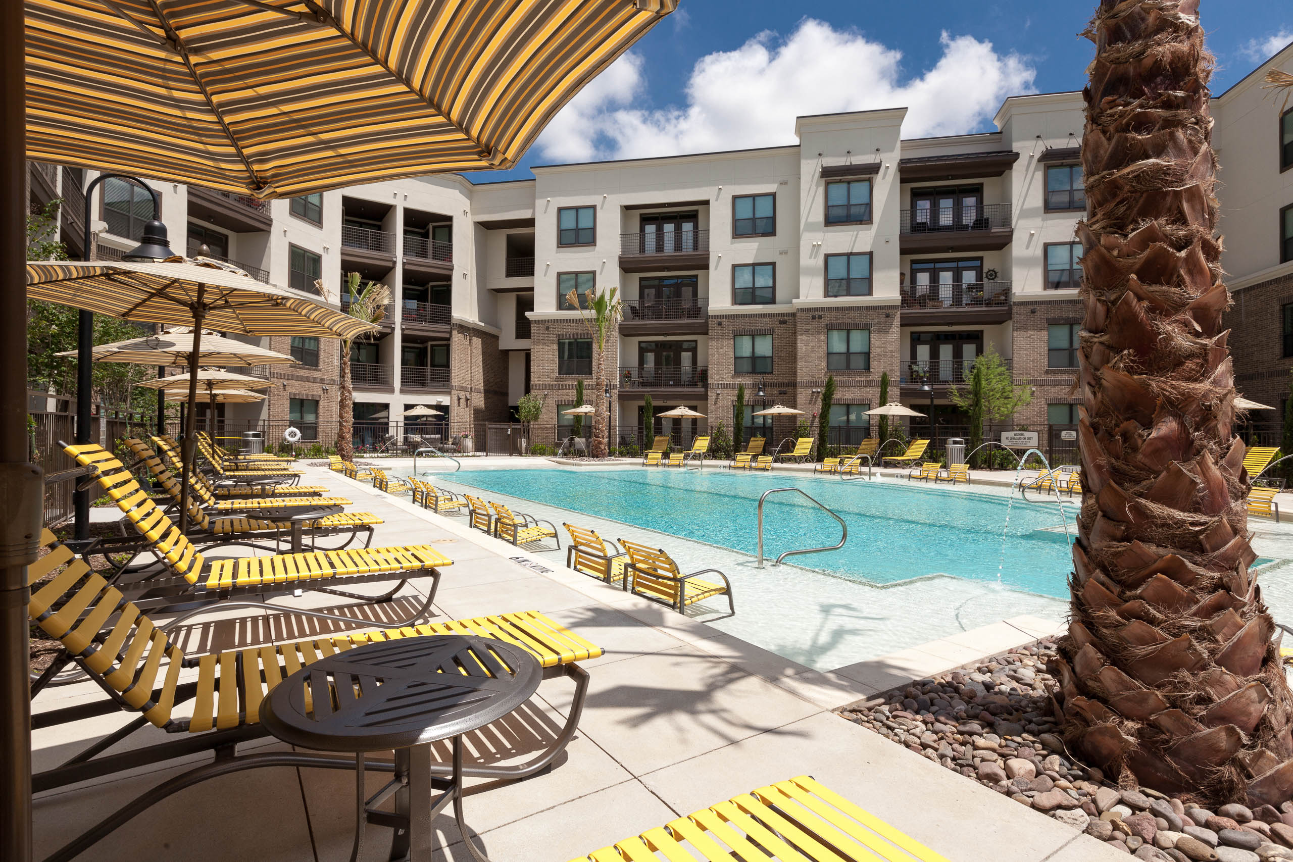 Daytime view of swimming pool with yellow lounge furniture and palm tree at AMLI at the Ballpark apartment building