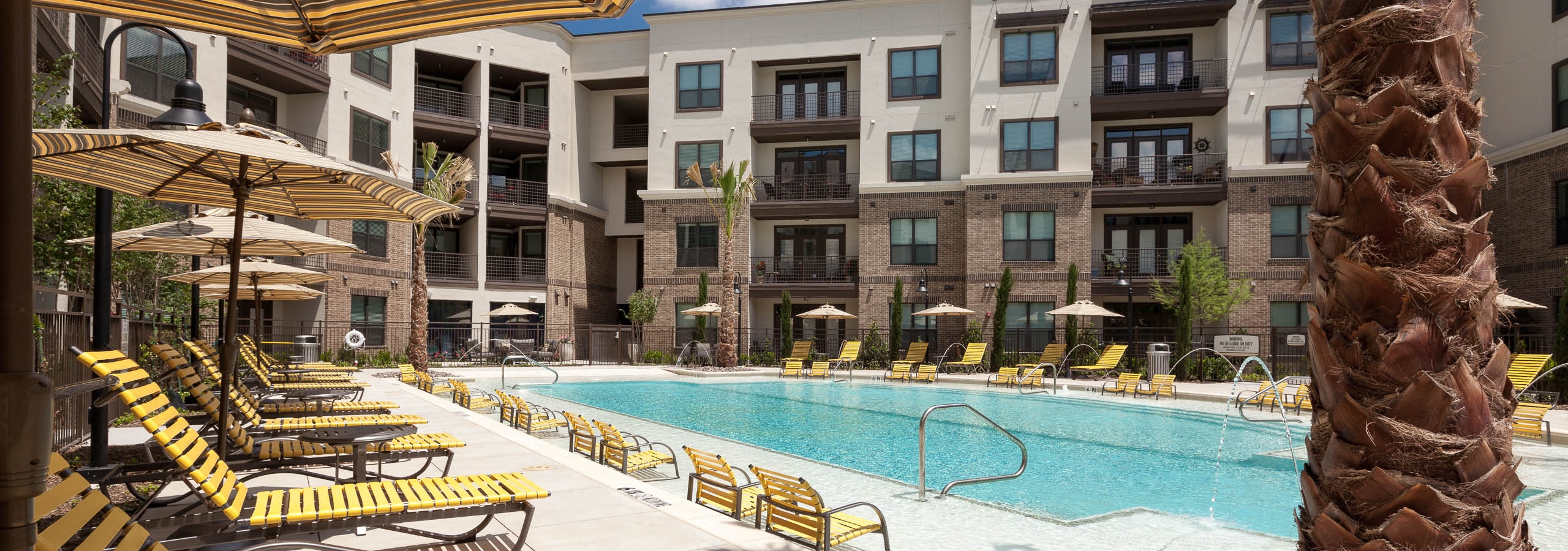 Daytime view of swimming pool with yellow lounge furniture and palm tree at AMLI at the Ballpark apartment building