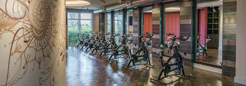 Interior of the spinning and yoga room at AMLI Sawgrass Village with a wall mural and another wall full of mirrors