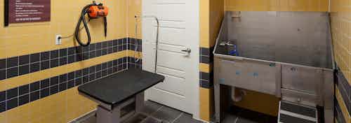 Interior view of paw wash at AMLI at Escena apartments with grooming table and drier and wash sink and yellow tile walls