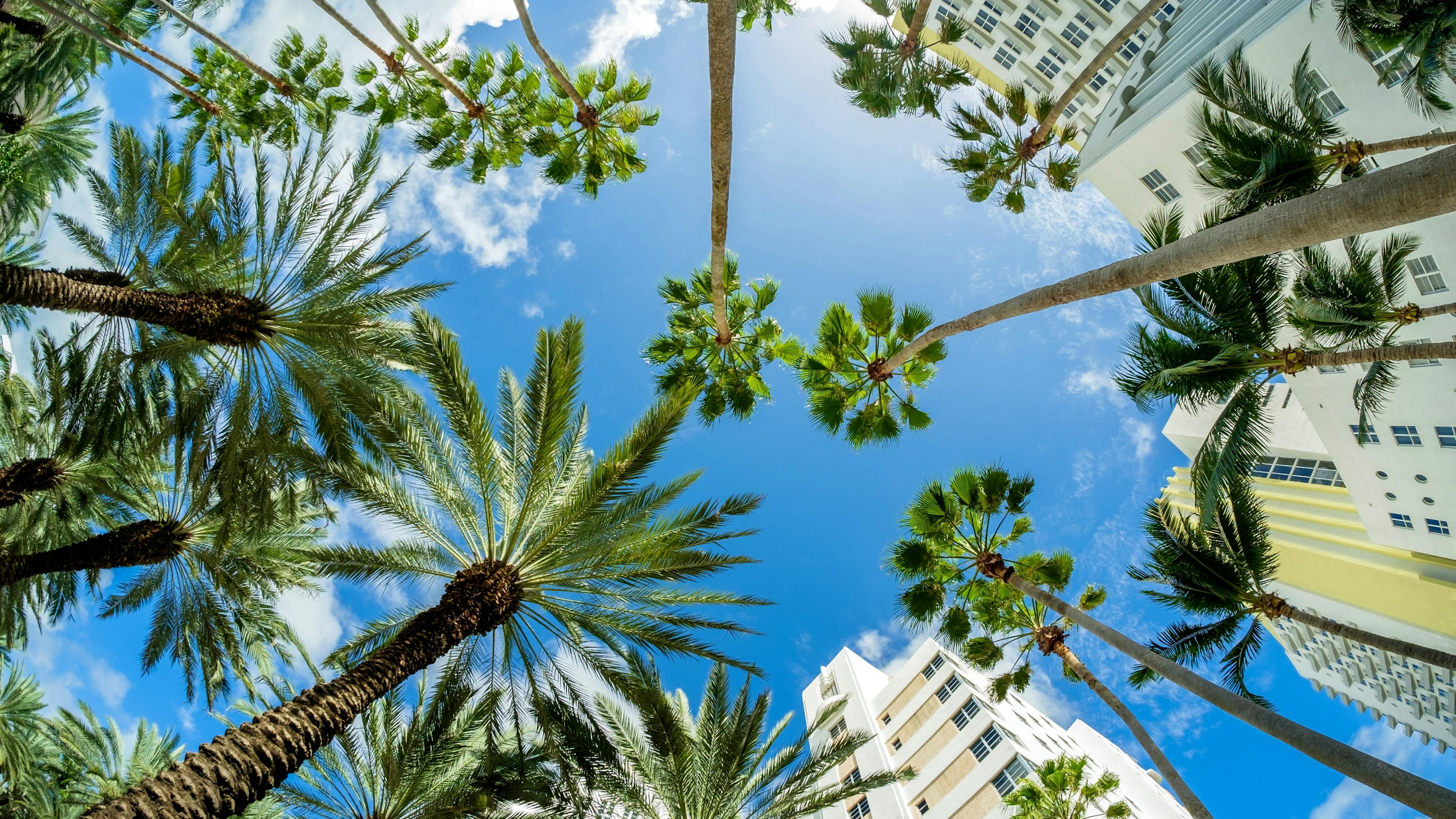 ""
