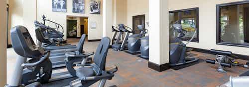 Interior view of fitness center at AMLI Campion Trail apartments with treadmills and cardio machines and artwork
