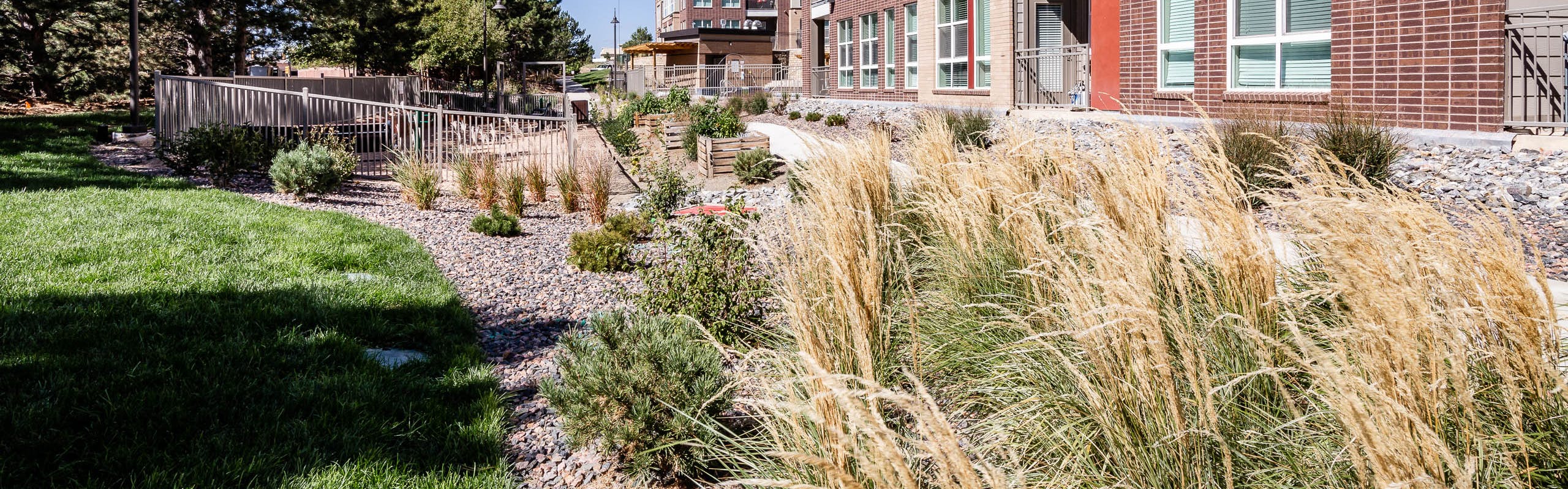 Daytime view of a rock bed area bushes and other plants as well as a grassy area and a view of the AMLI Dry Creek apartments