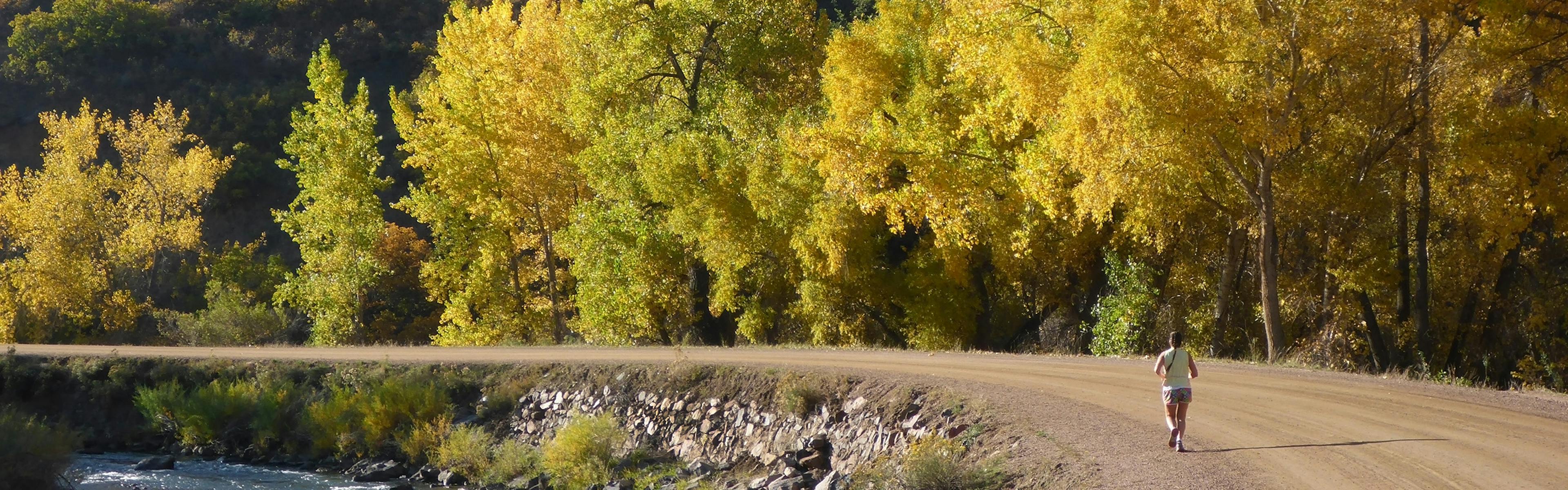 Daytime view of Colorado’s Rocky Mountain National Park Trail Ridge Road in the fall with scenic yellow fall foliage on trees