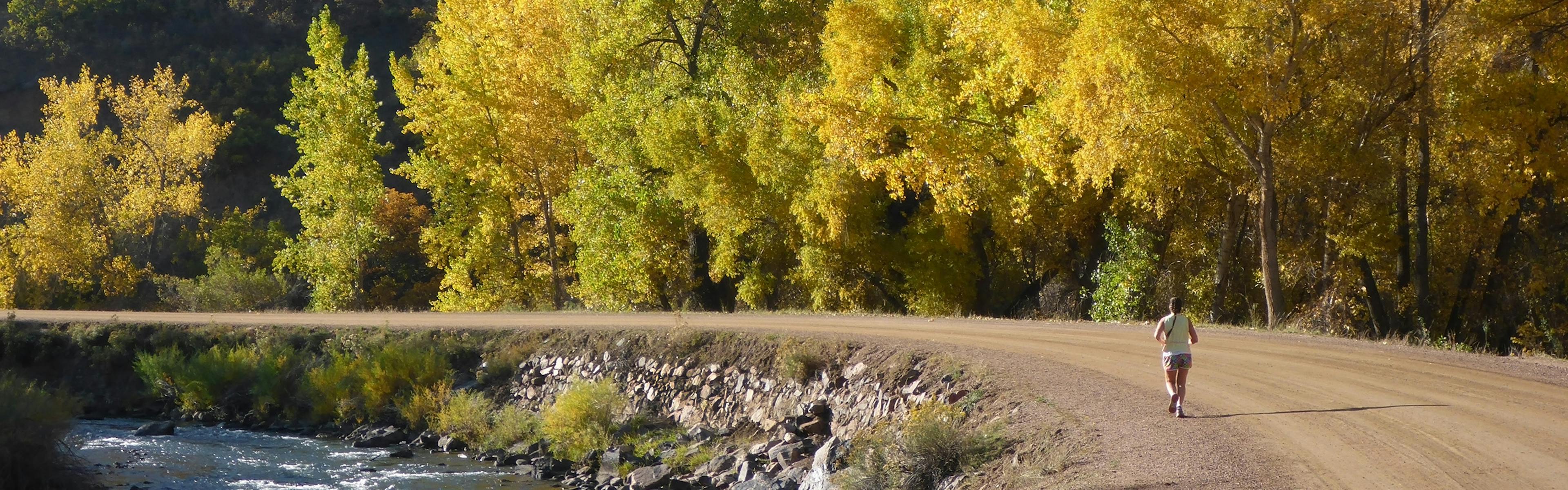 A dirt trail in Denver with an individual jogging down the path with a large river and many aspen trees with yellow leaves 