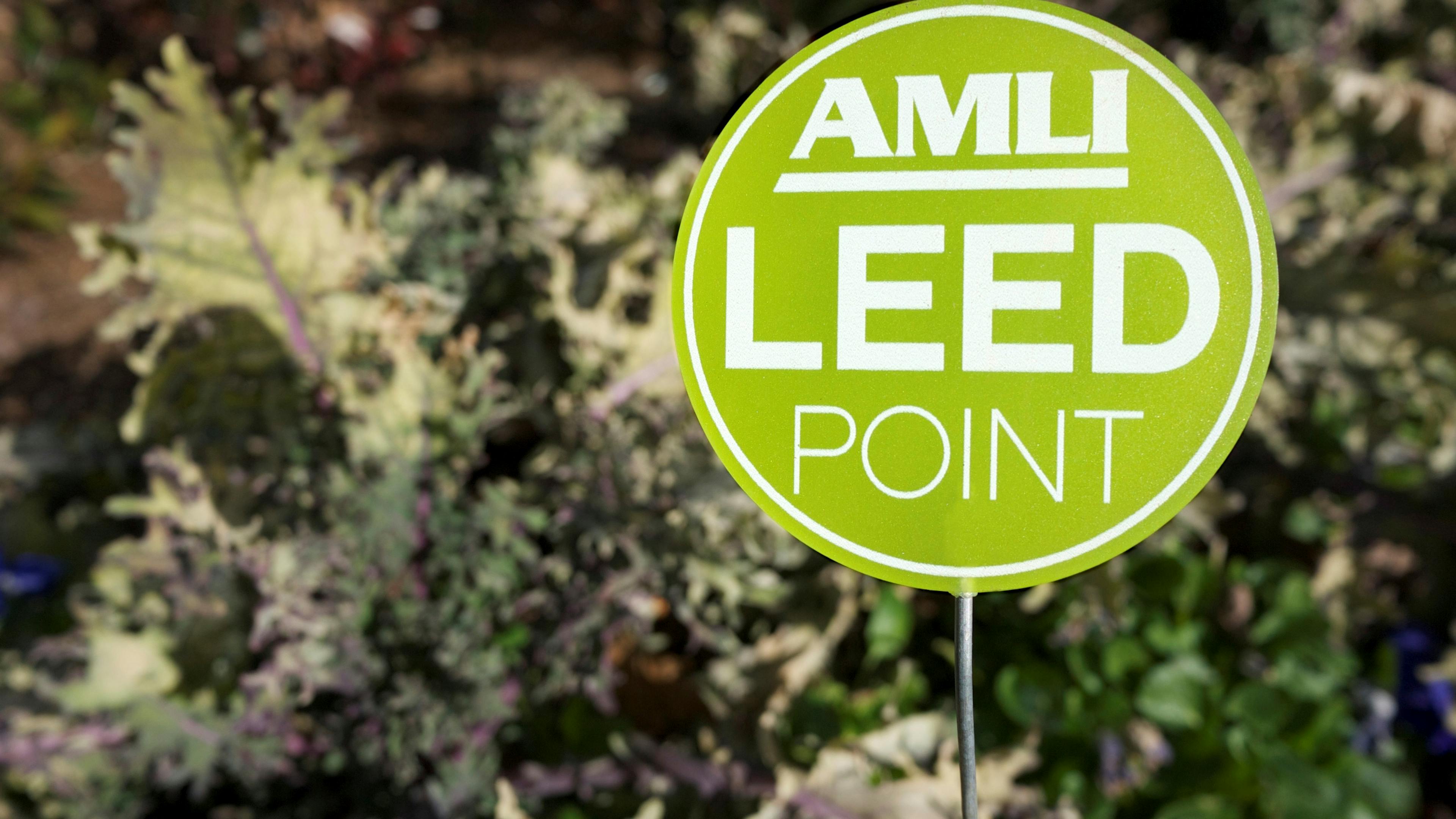 Closeup of a green AMLI LEED Point coin denoting our promise to sustainability against a background of foliage