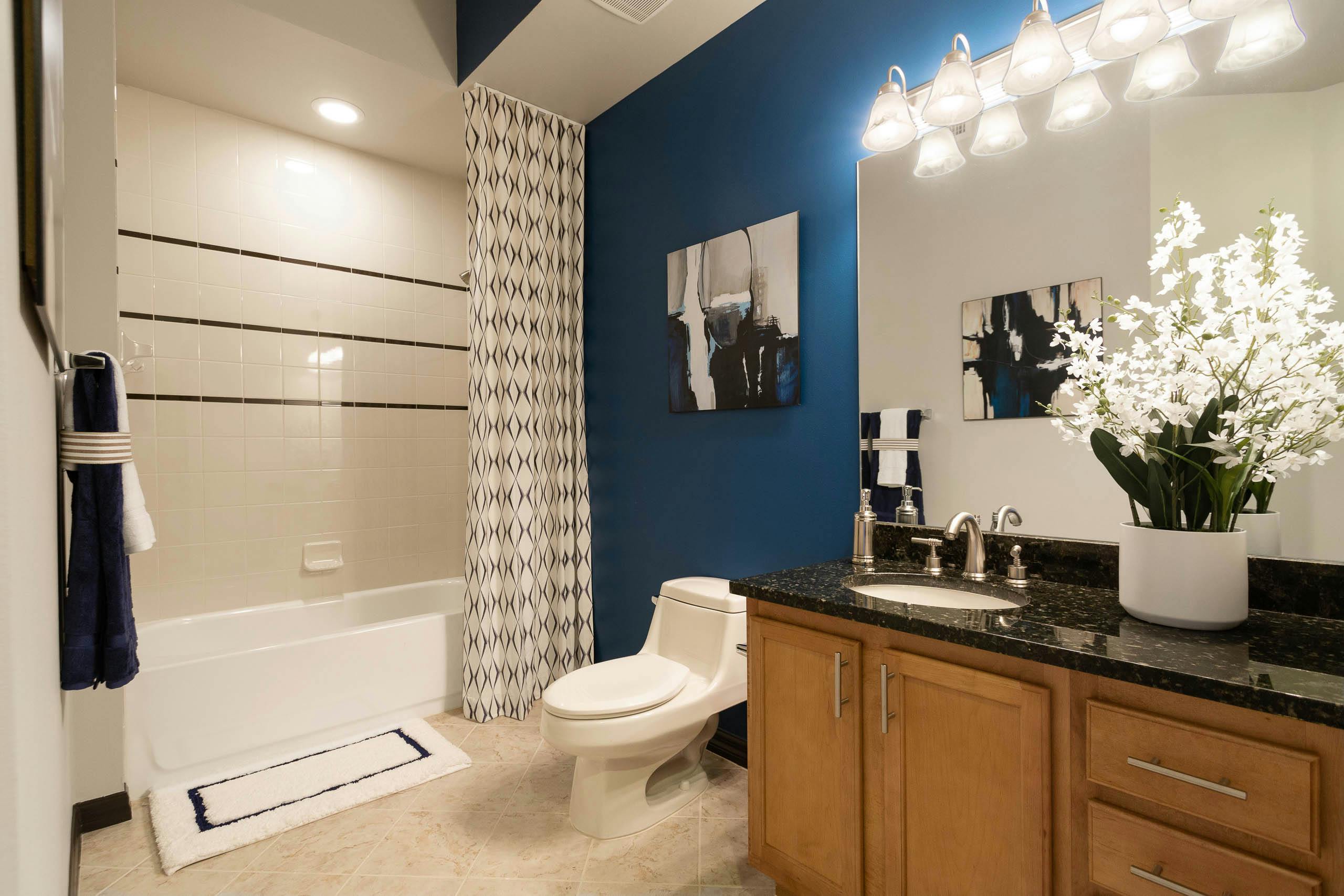 Rental Bathroom Decor Ideas Amli Residential