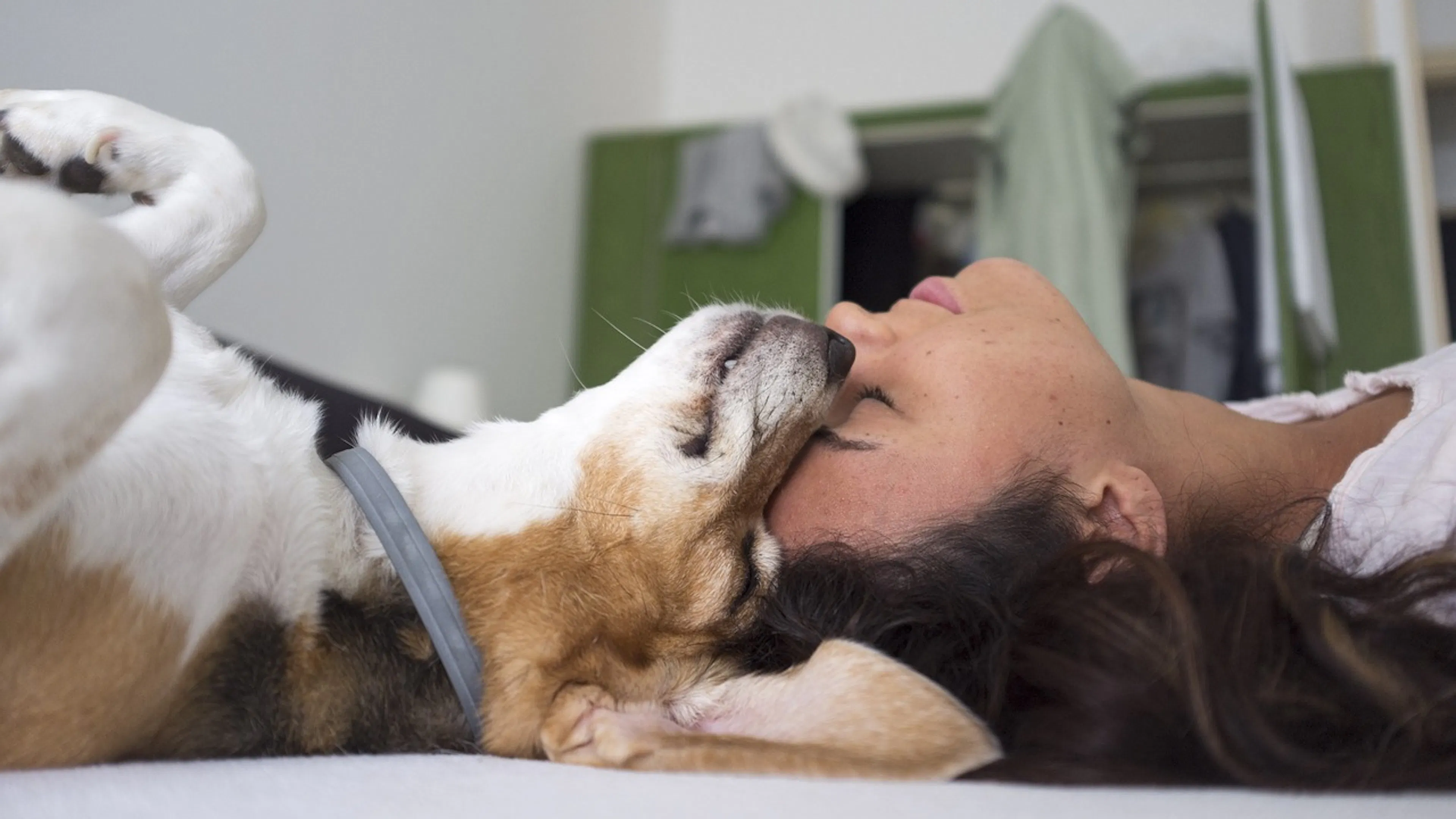 Dog on back with face next to womans face with closet in background
