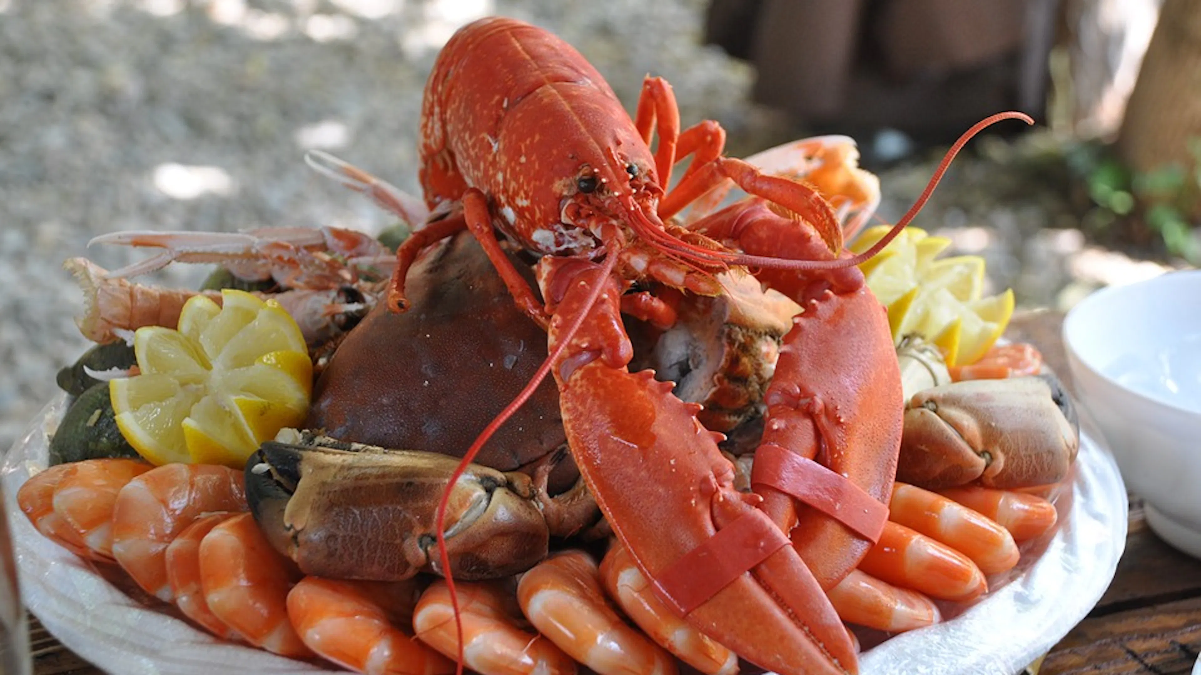 A platter of shrimp and lobster with lemon wedges and crab