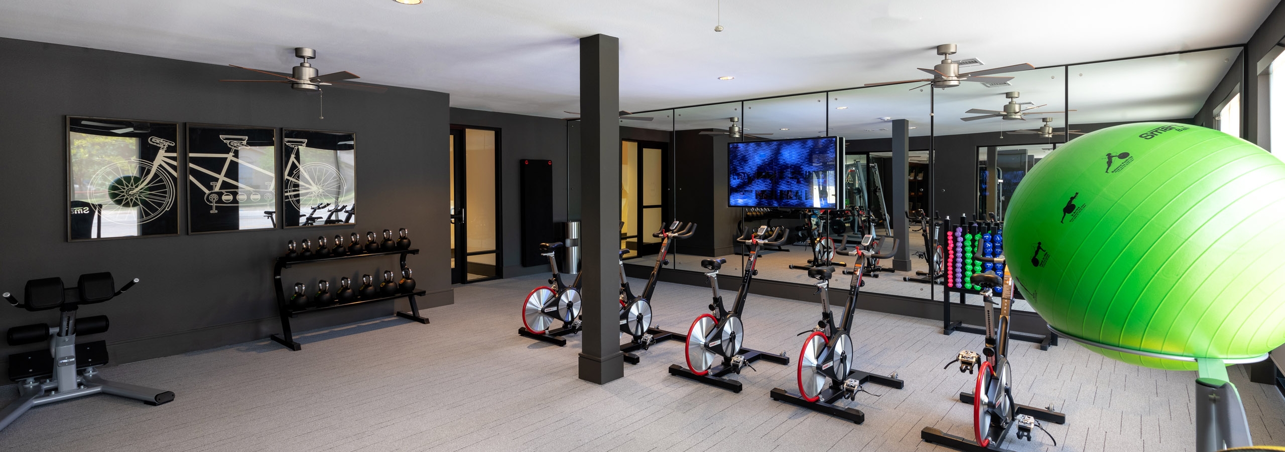 AMLI Grapevine fitness room with floor to ceiling windows and standalone spin bikes and multi-colored exercise balls