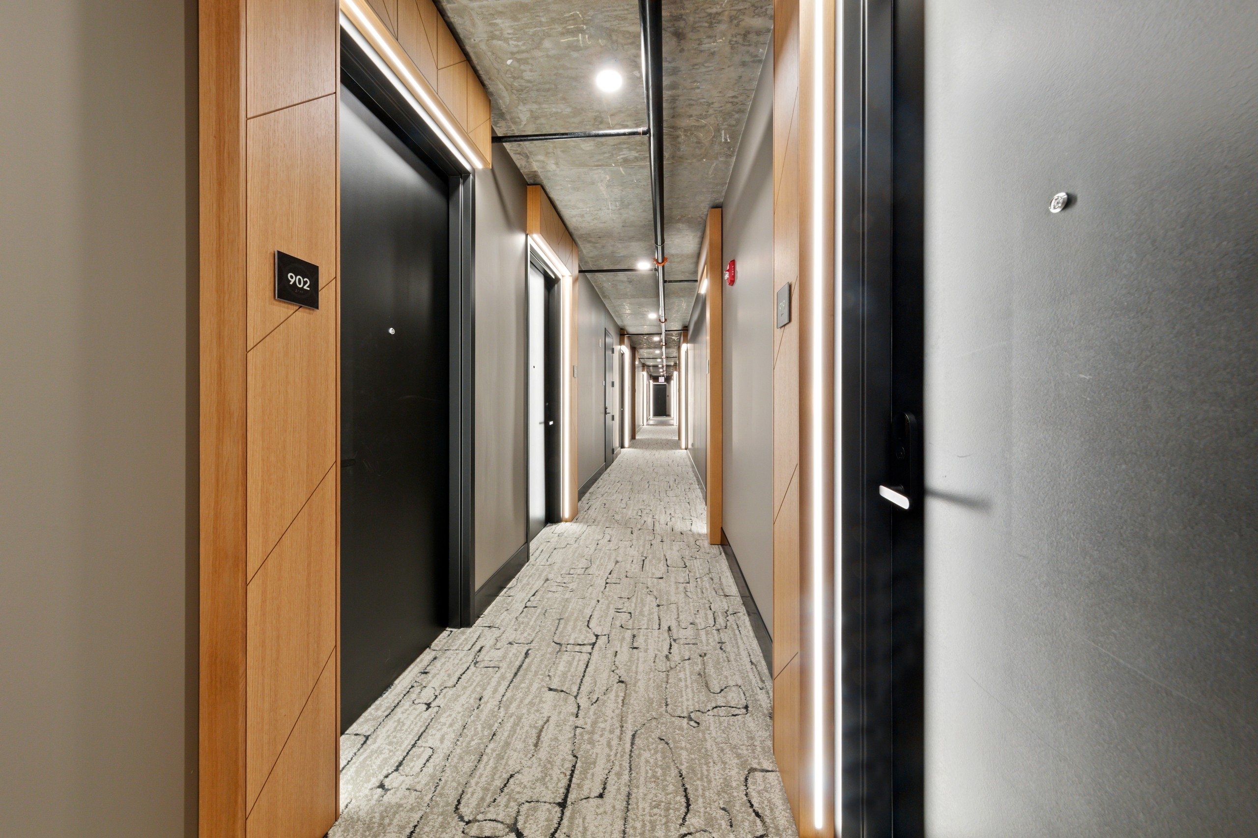 AMLI 808 apartment community hallway with loft ceiling and black doors lined by grey walls and modern carpet flooring