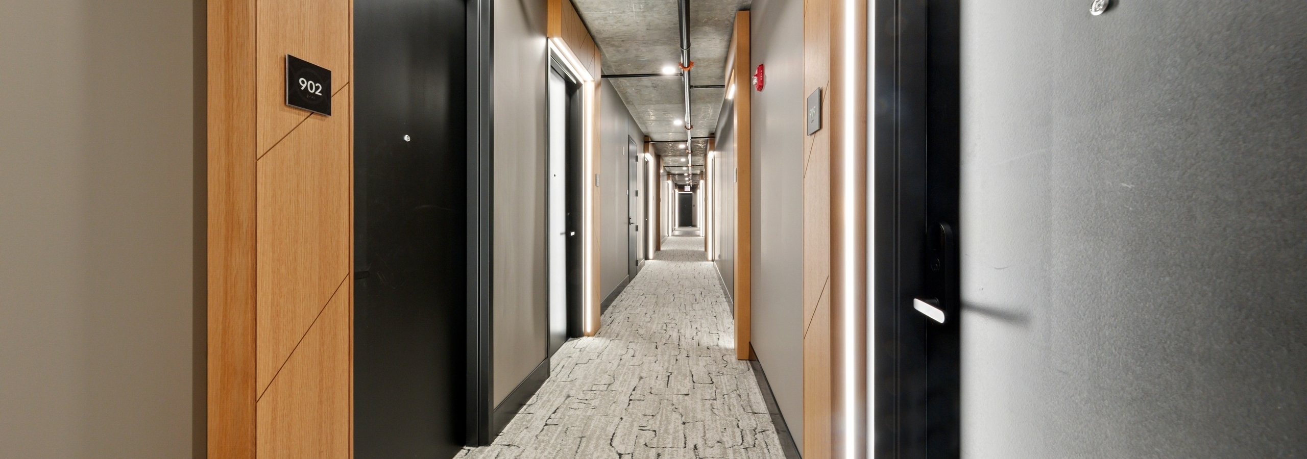 AMLI 808 apartment community hallway with loft ceiling and black doors lined by grey walls and modern carpet flooring