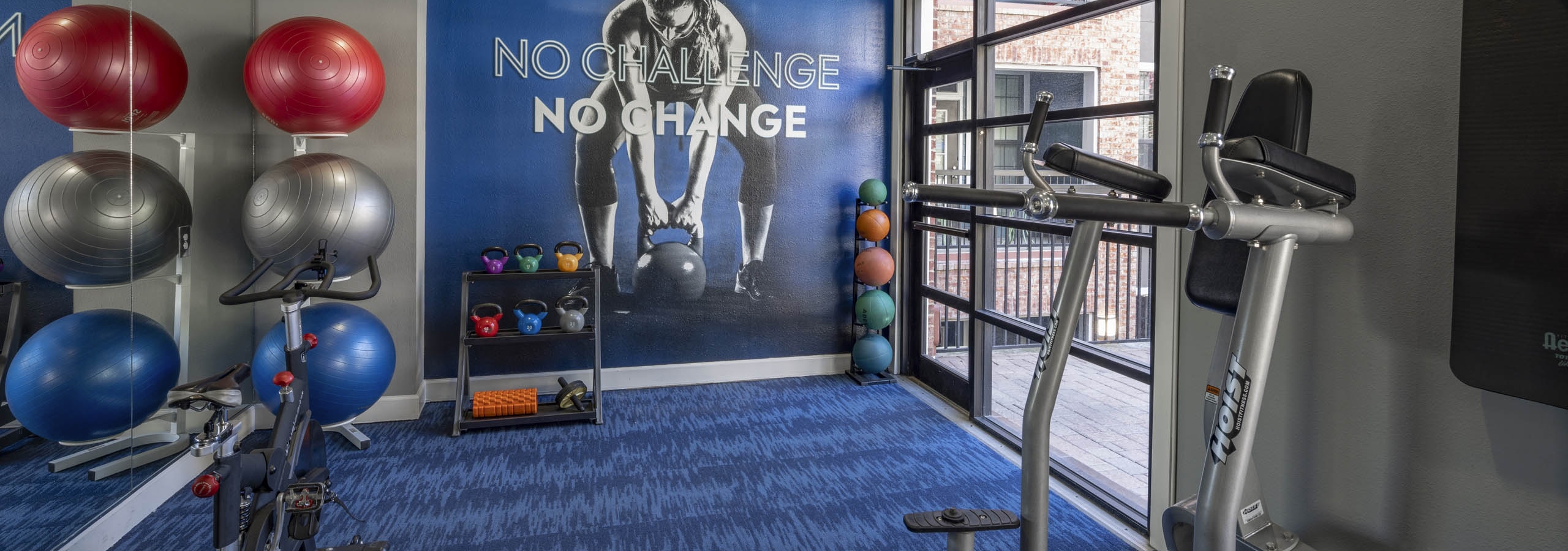AMLI Eastside fitness center corner with a large wall mural and exercise equipment including exercise balls and free weights