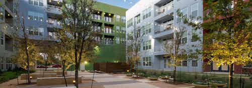 Exterior of AMLI at Mueller courtyard lined with vibrant trees and string lights over potted greenery along the pavement