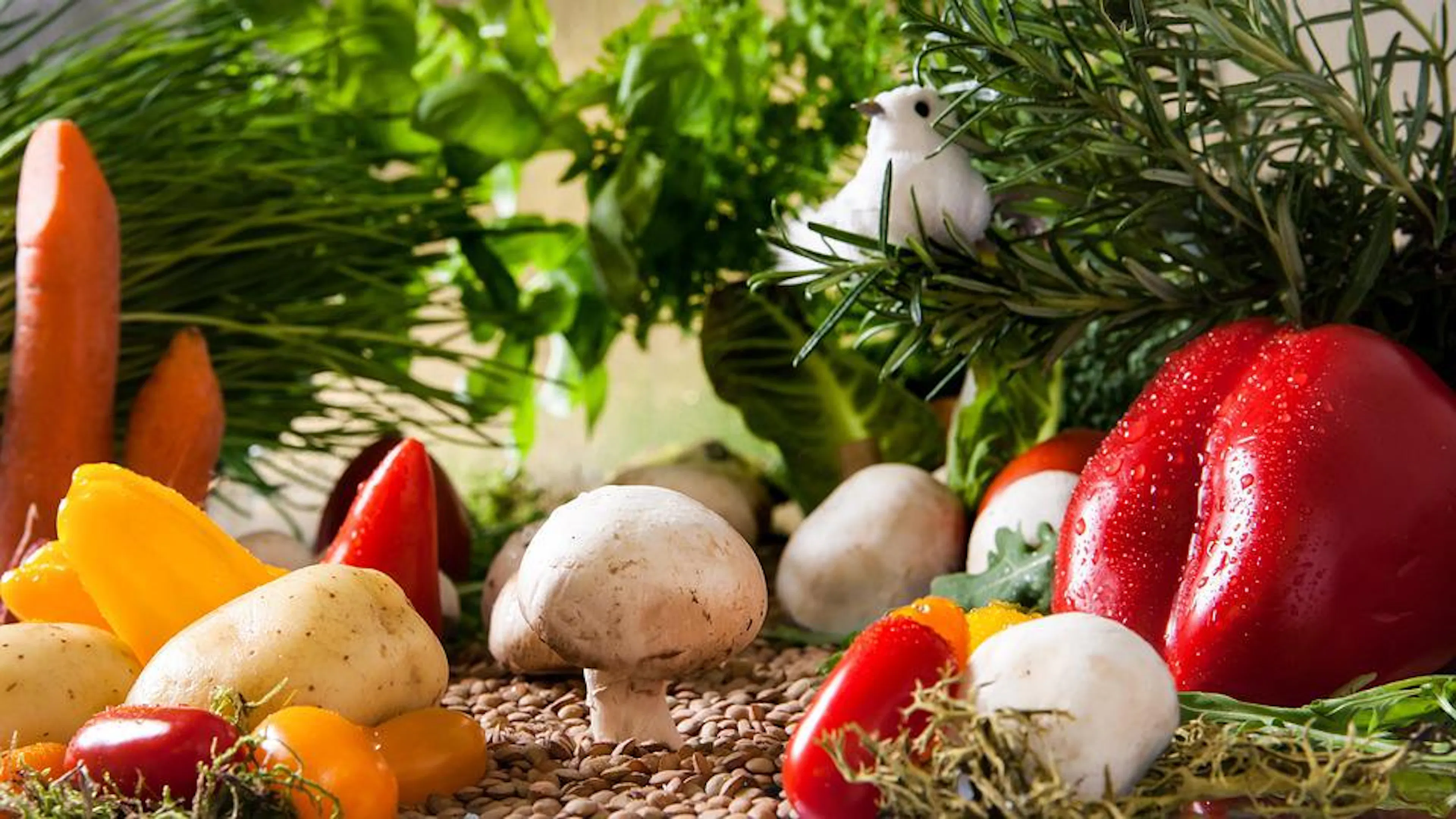 Close up of vegetables and herbs built up like a little forest