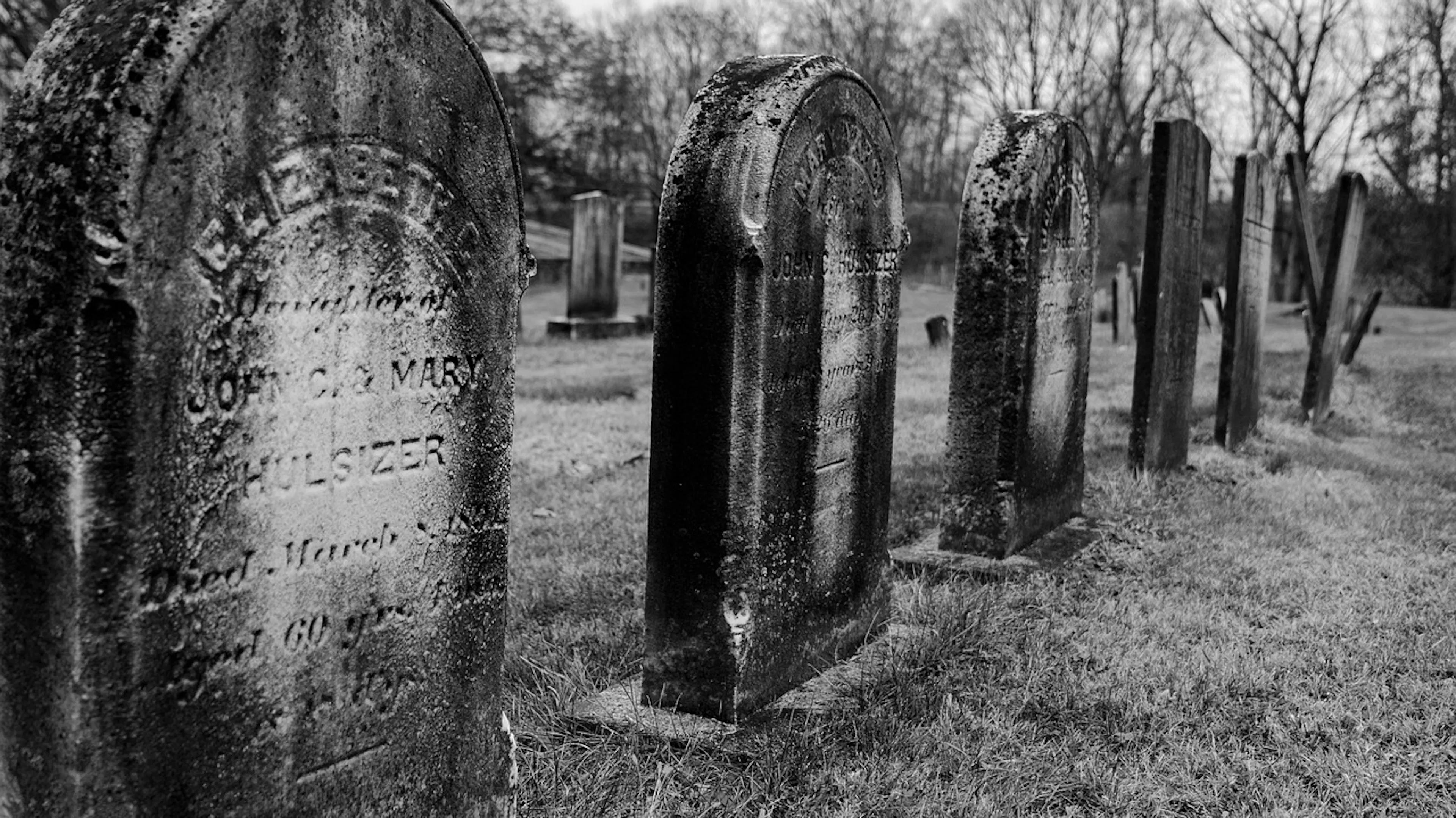 A line of old graves in a grassy cemetery with trees in the far background