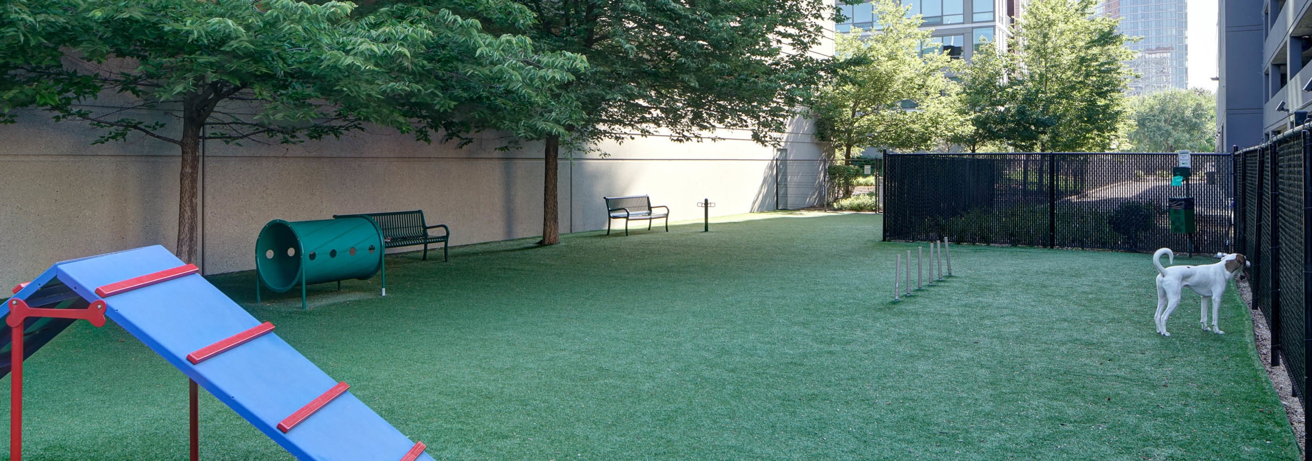 An exterior view of the pet park at AMLI 900 which contains artificial turf and multiple objects for pets to jump and play on