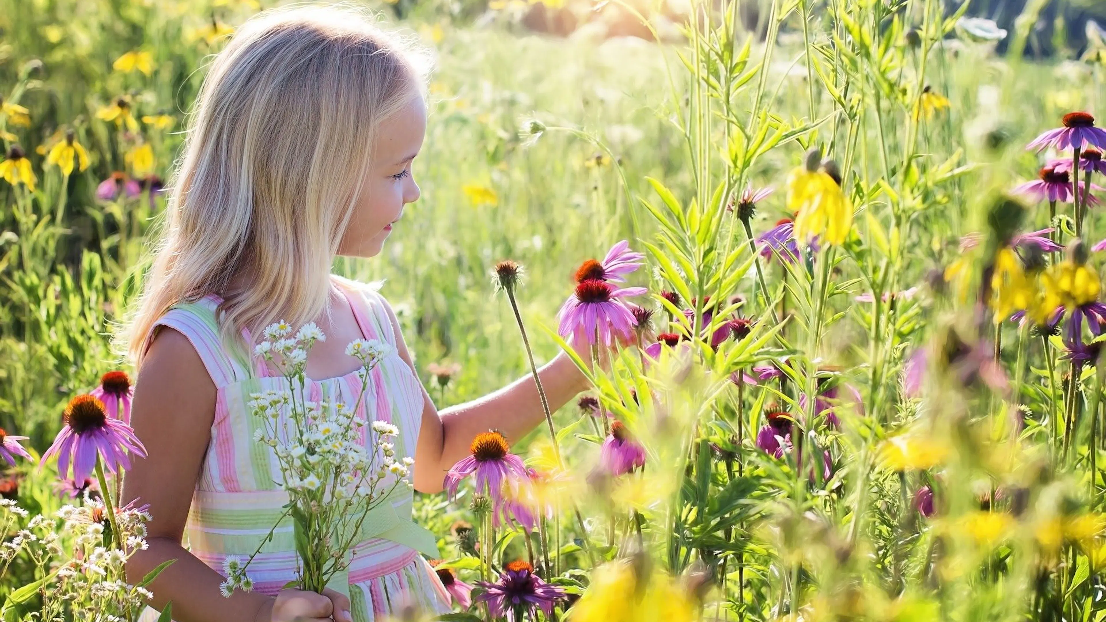 A young girl in a pink dress walking through a field of flowers