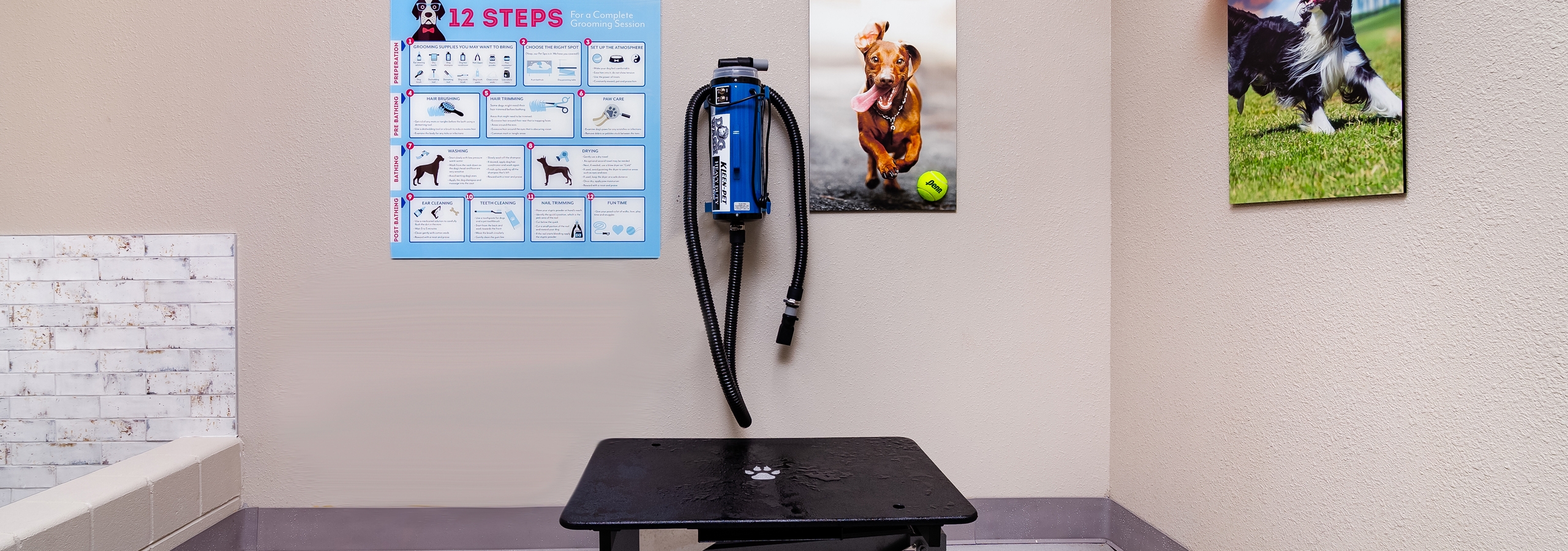 Interior of AMLI Littleton Village apartment pet spa with grooming table and dryer, grooming tips and custom dog wall art