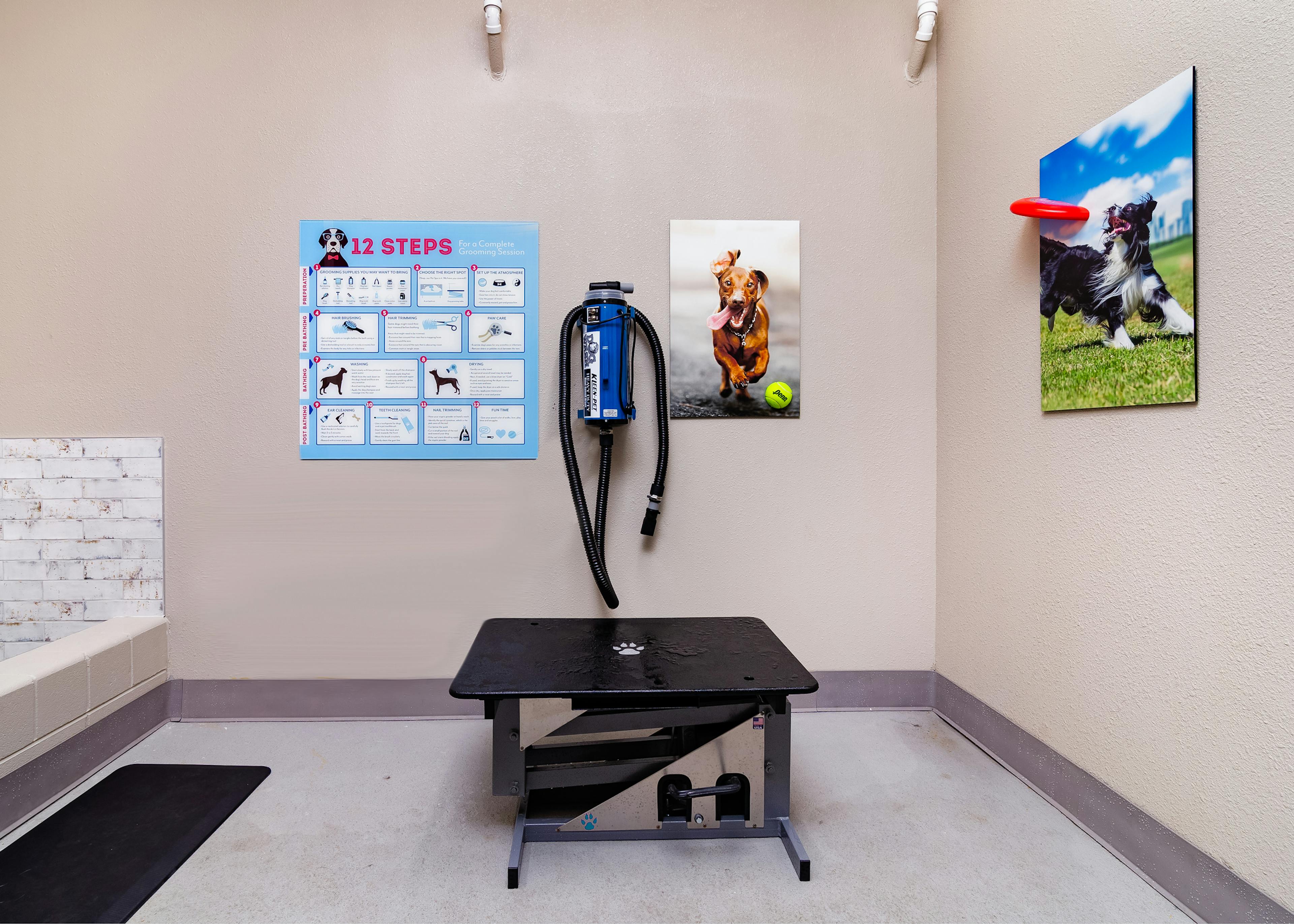 Interior of AMLI Littleton Village apartment pet spa with grooming table and dryer, grooming tips and custom dog wall art