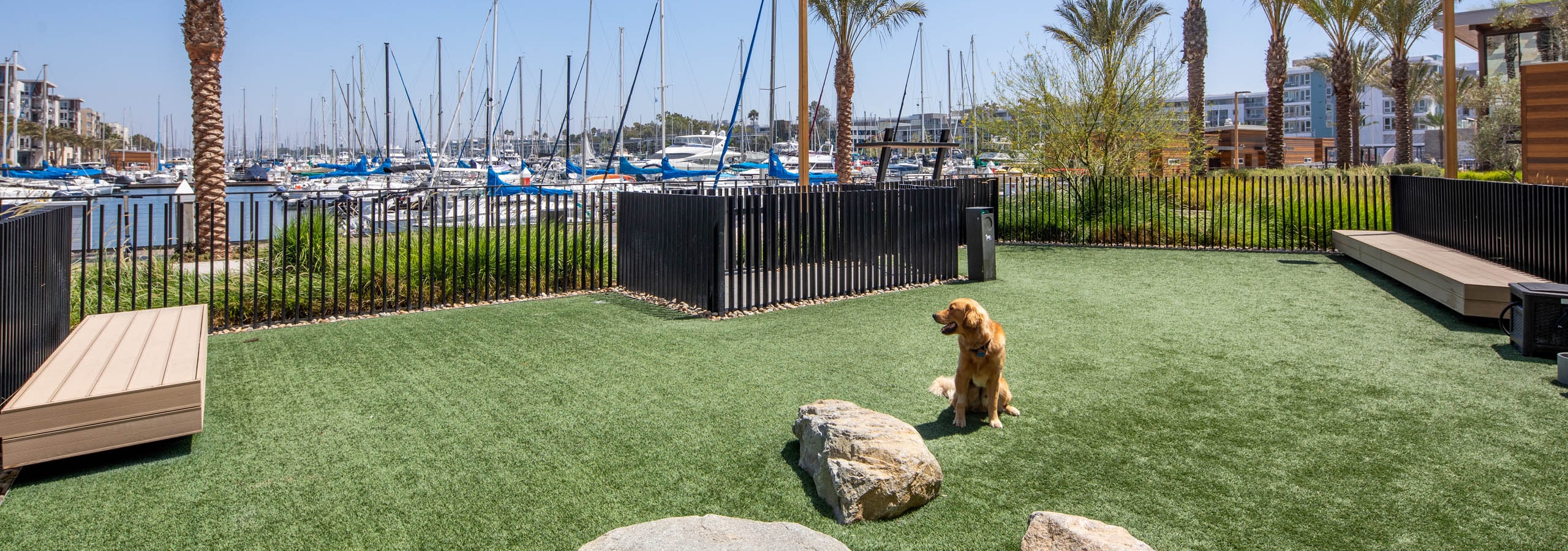 Pet park with large grass area where a golden retriever sits overlooking the marina and palm trees at AMLI Marina Del Rey