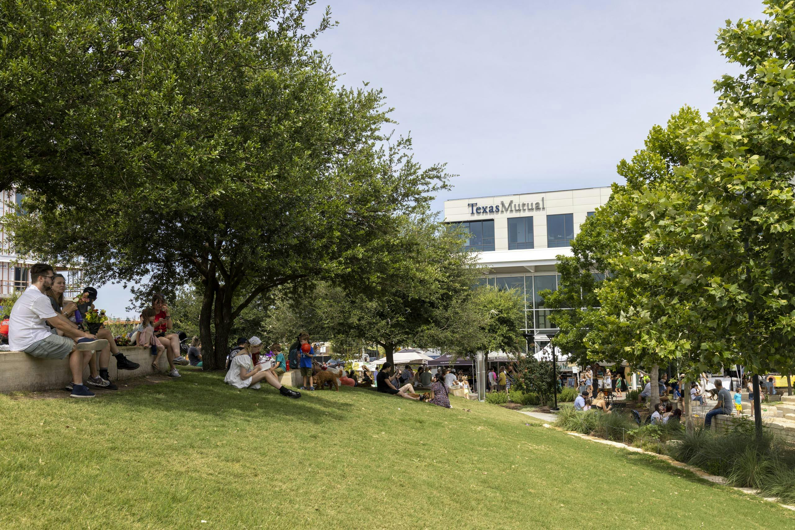 Mary Elizabeth Branch Park in Austin TX featuring a grassy hill for visitors to lounge on and tall broadleaf trees for share