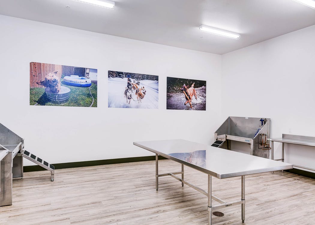 Interior view of a dog washing area at AMLI Cherry Creek apartments with a grooming table and washing tub and dog photography