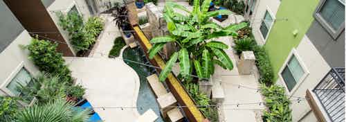 Daytime aerial view of AMLI 300 relaxing zen garden with palm tree and lush plants