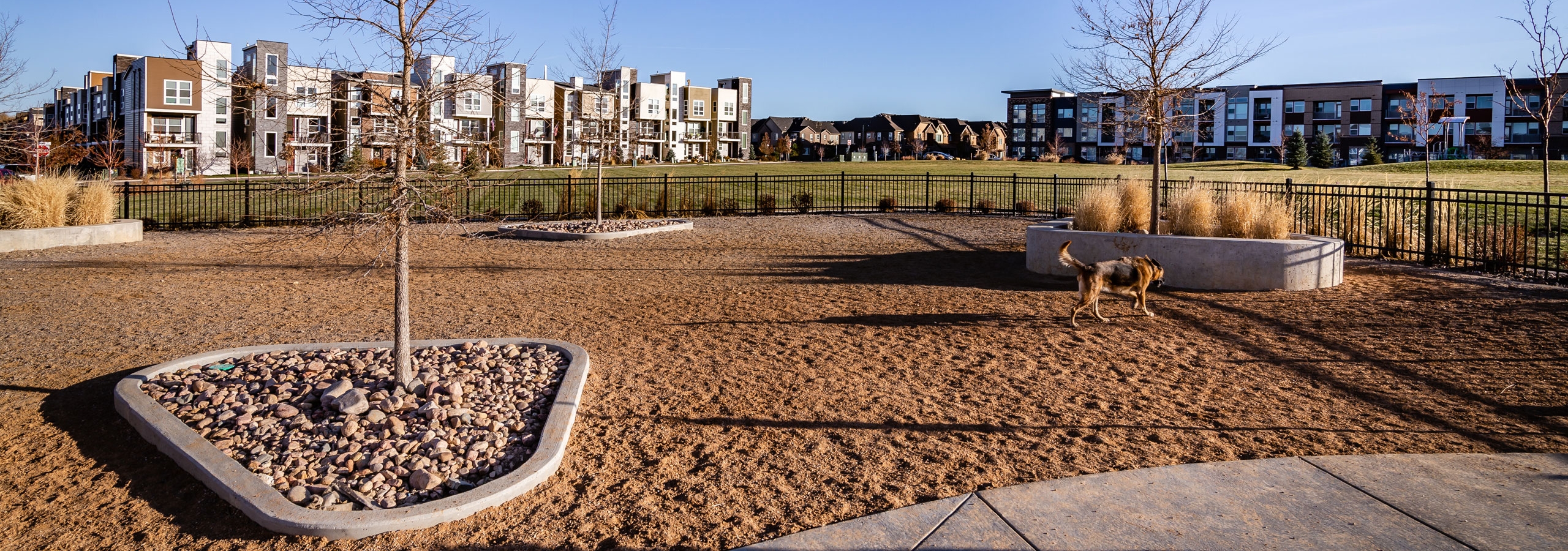 Daytime view of 3.5-acre park with large grass area and fenced dog park next to AMLI Littleton Village apartment building