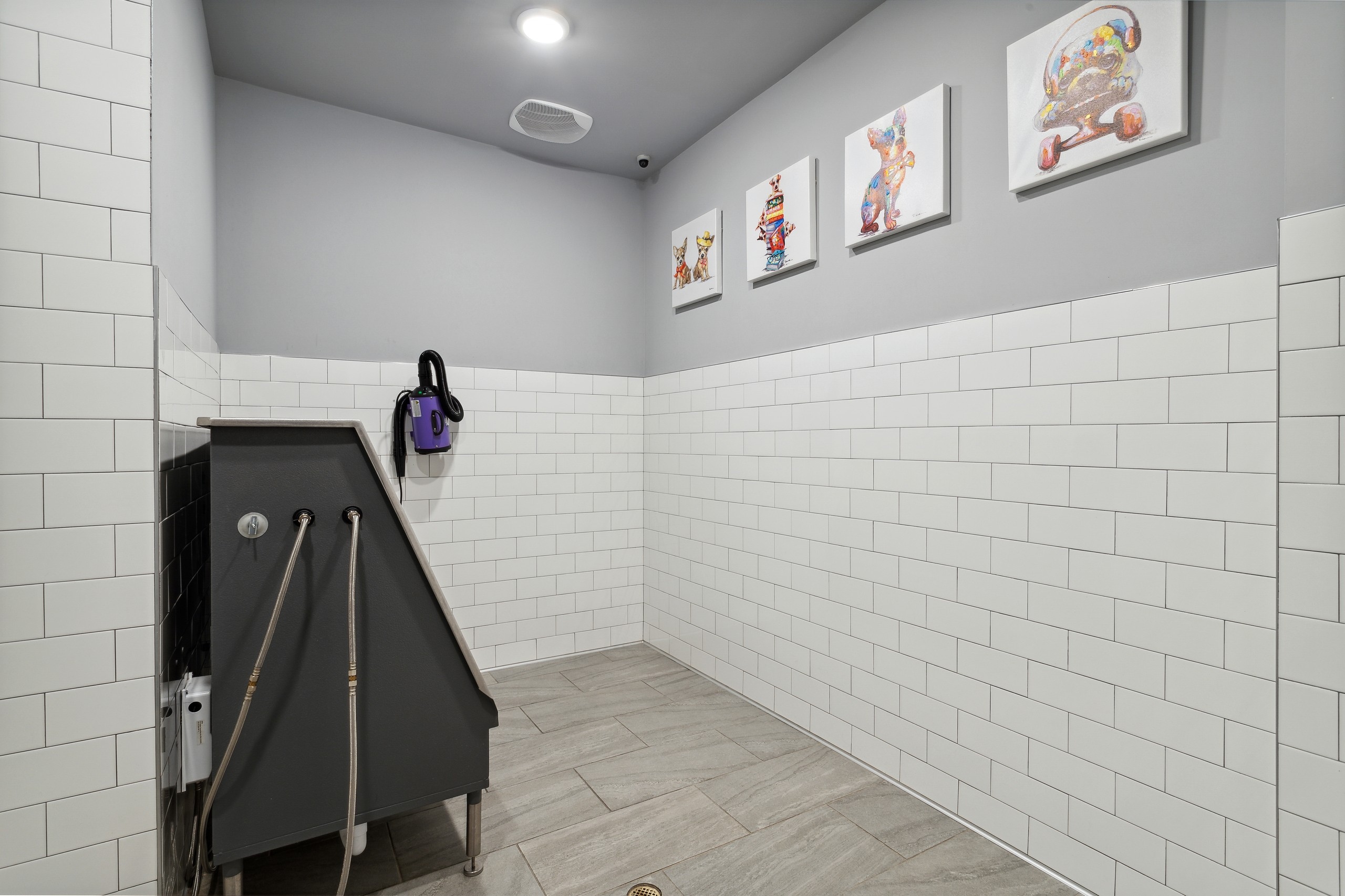Interior view of bright pet spa with stainless steel washing station and colorful artwork on wall at AMLI Westside apartments