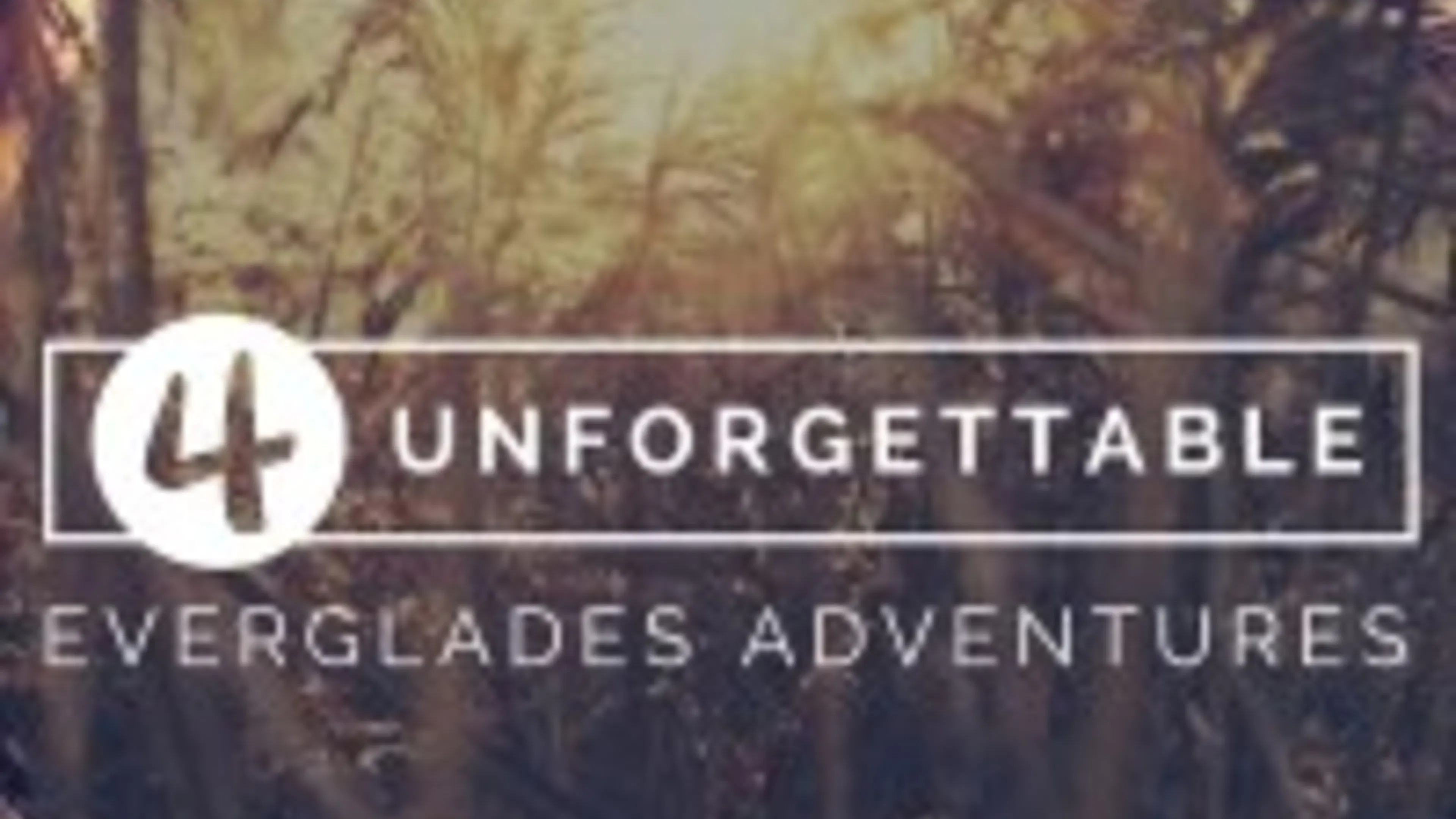 Four Unforgettable Everglades Adventures