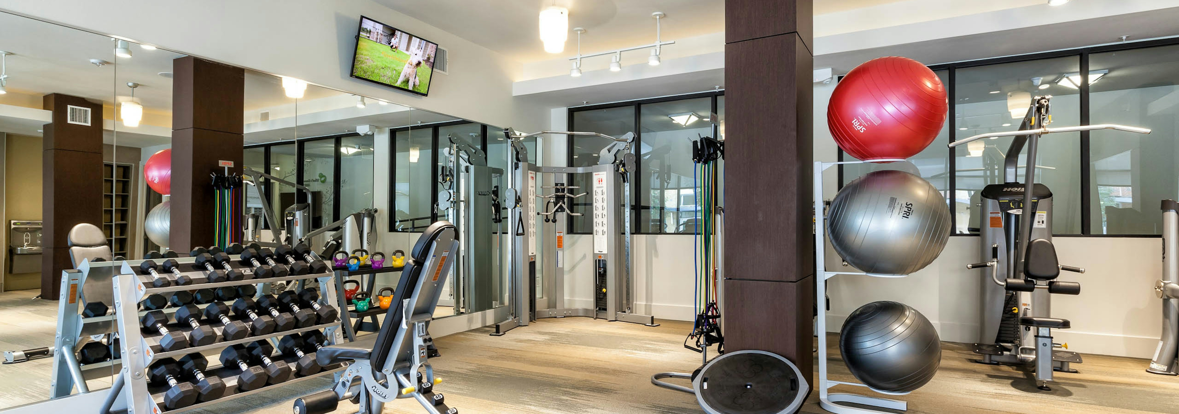 AMLI West Plano fitness center showing dumbbell rack with large TV hanging on the wall with weight machines in the background