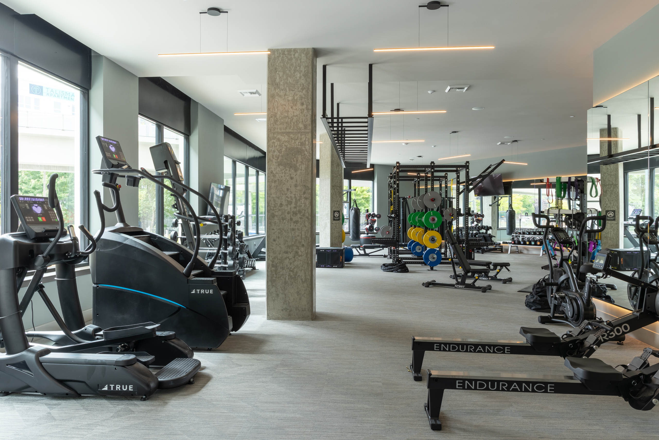 Fitness center with cardio machines, rowing equipment, a squat rack, free weights, and floor-to-ceiling windows with natural light.