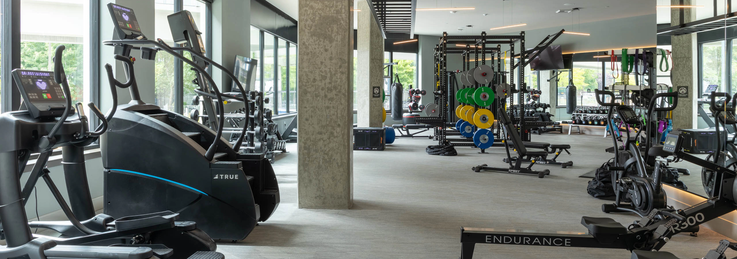 Fitness center with cardio machines, rowing equipment, a squat rack, free weights, and floor-to-ceiling windows with natural light.
