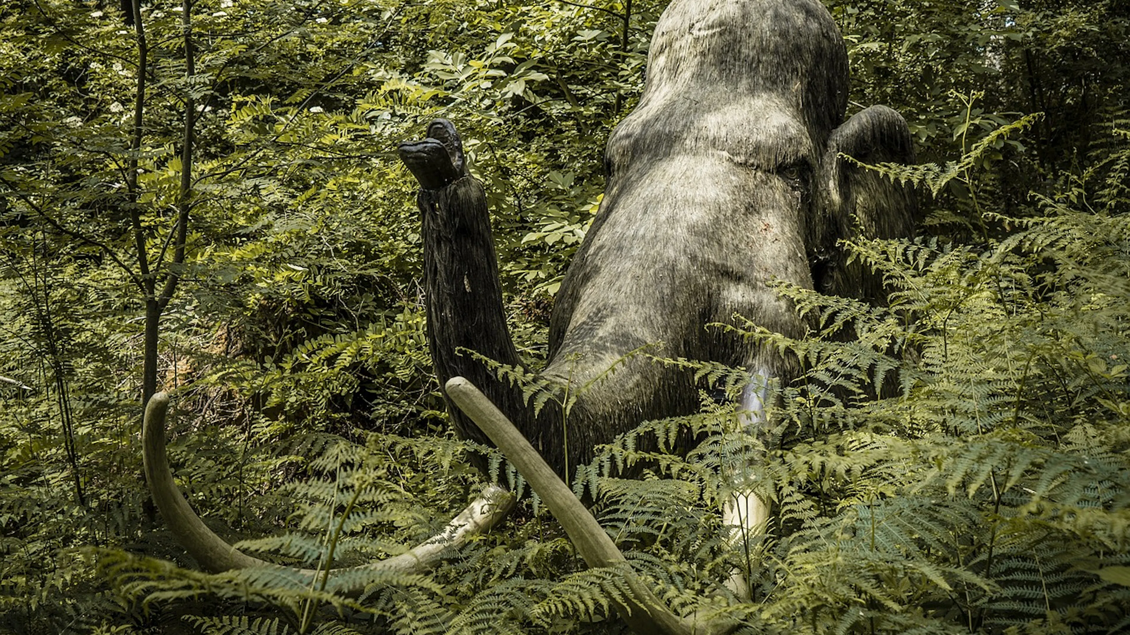A statue of a mammoth nestled behind leafy ferns in a jungle setting