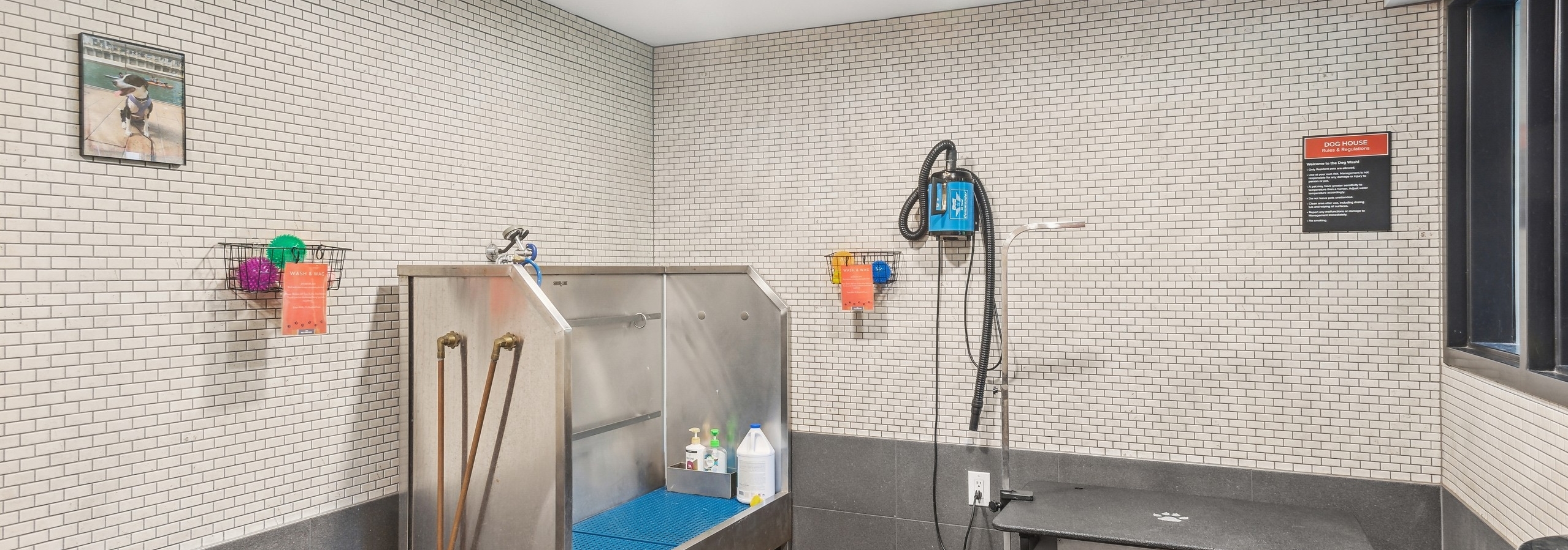 Interior view of a pet spa at AMLI Wallingford with a washing basin with retractable hose and a drying and grooming table