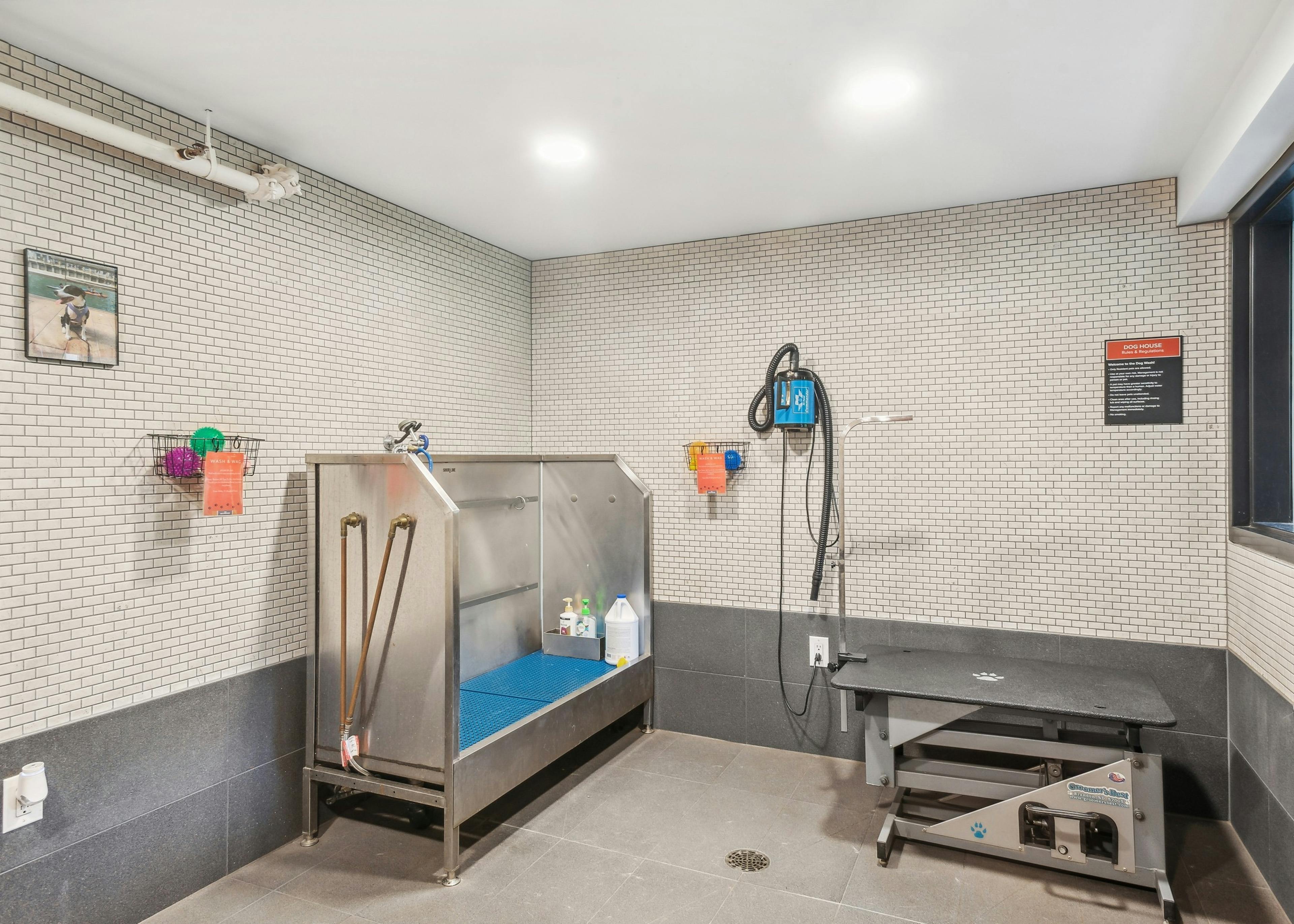 Interior view of a pet spa at AMLI Wallingford with a washing basin with retractable hose and a drying and grooming table